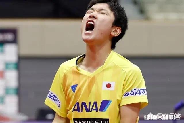 张本智和输球后接受中国记者采访，失声痛哭不甘心失败！你怎么看