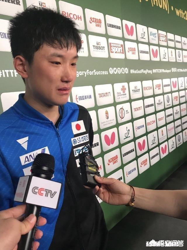 张本智和输球后接受中国记者采访，失声痛哭不甘心失败！你怎么看