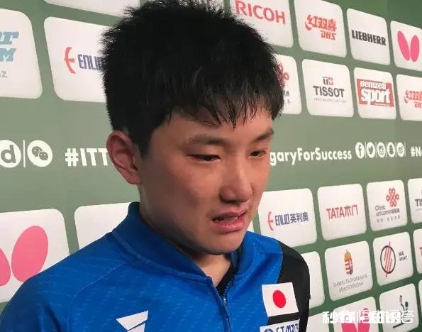 张本智和输球后接受中国记者采访，失声痛哭不甘心失败！你怎么看