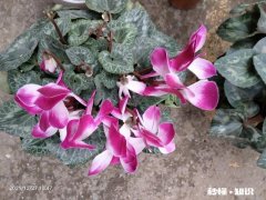 玩头条的人是不是被洗脑了，天天想爆款