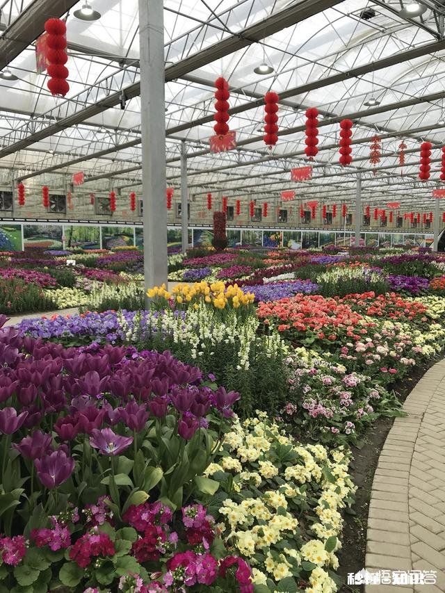 出嫁女儿的母亲向男方家要高额彩礼，还必须一分不差，你怎么看