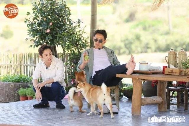 为什么类似《向往的生活》这样的慢综艺会受到一些人的欢迎