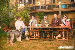 为什么类似《向往的生活》这样的慢综艺会受到一些人的欢迎