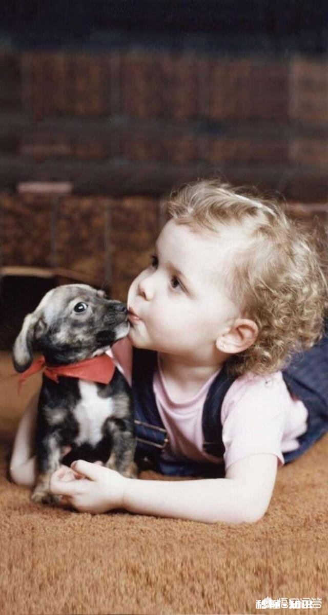 手机比马桶脏移动办公和照顾宝宝该如何兼顾