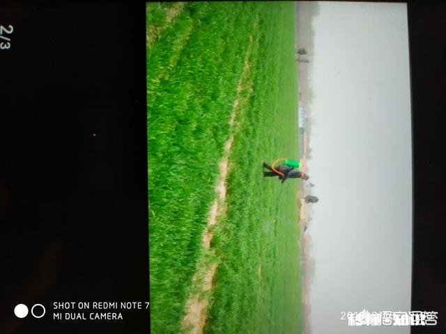 入春了，农田什么时候施肥效果最好