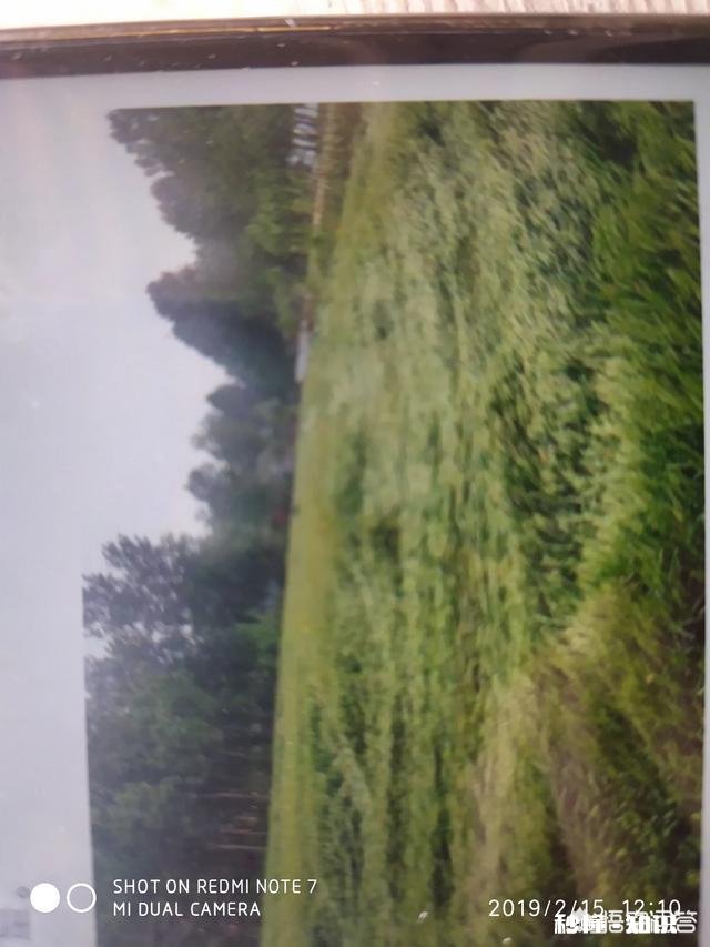 入春了，农田什么时候施肥效果最好