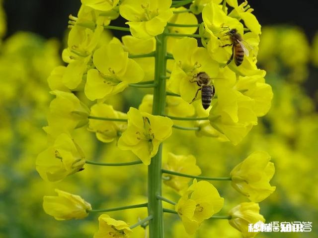 如何让孩子喜欢上跆拳道