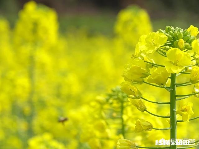 如何让孩子喜欢上跆拳道