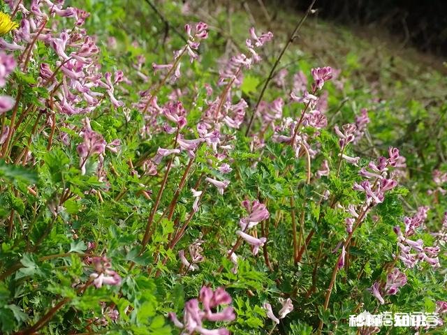如何让孩子喜欢上跆拳道