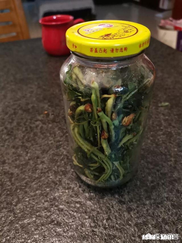 香椿可以用来做什么美食