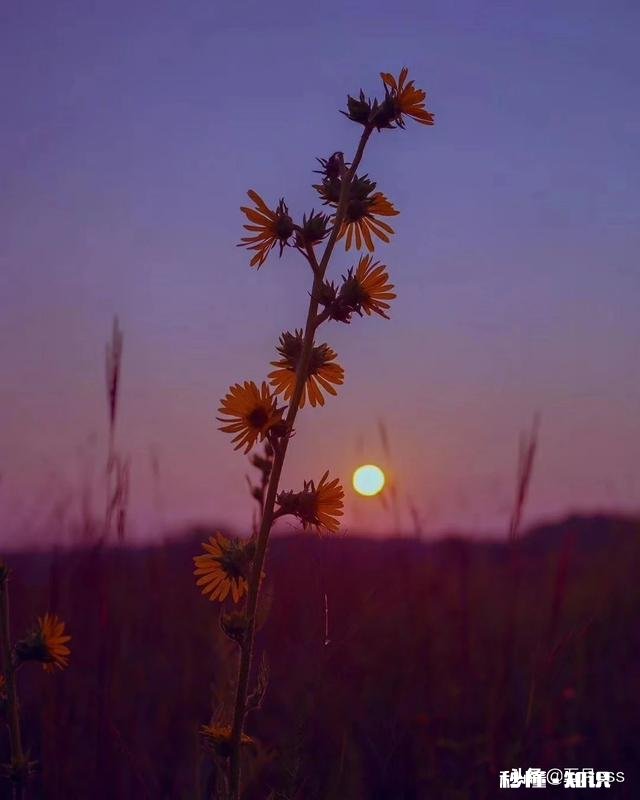 有些事就是试金石，只有有事才能看出亲戚的人品，这句话对吗