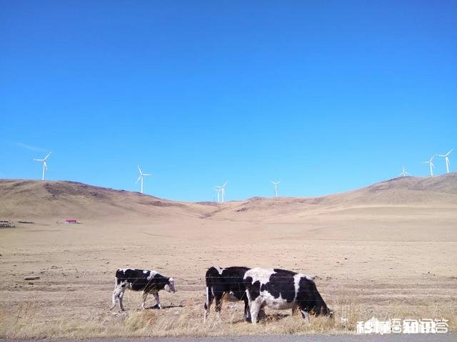 川菜和陕西菜哪个更好吃