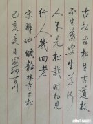 有一定硬笔书法基础的人接下来的练字方向应该是什么