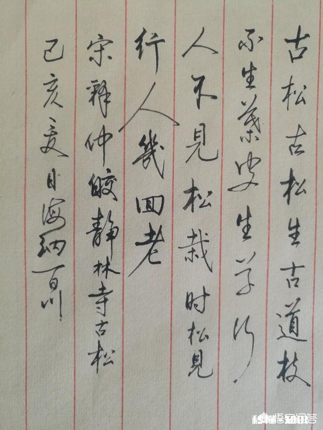 有一定硬笔书法基础的人接下来的练字方向应该是什么