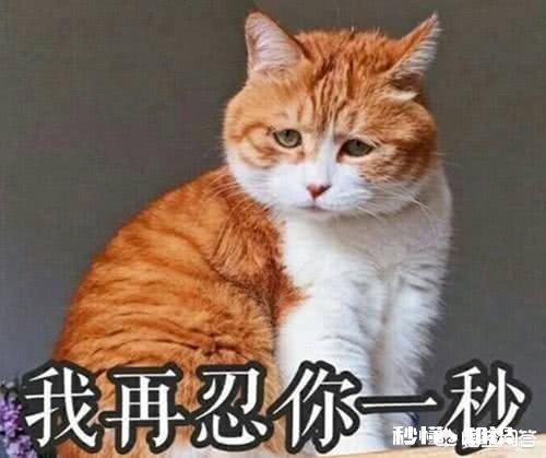 为什么越是一些成绩差的学生的家长事情越多