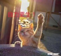 大专面对浑浑噩噩的宿舍，该怎样改变