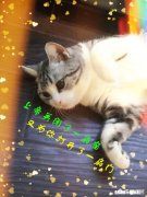 出厂了，不想进工厂，又没什么文化，谁能告诉我，该做点什么好