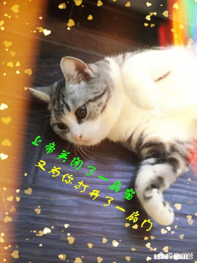 出厂了，不想进工厂，又没什么文化，谁能告诉我，该做点什么好