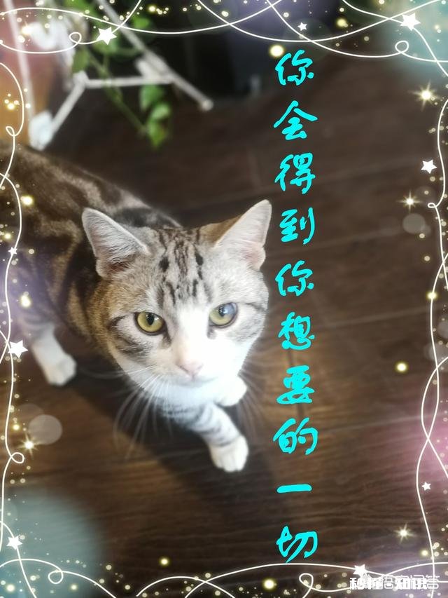 出厂了，不想进工厂，又没什么文化，谁能告诉我，该做点什么好