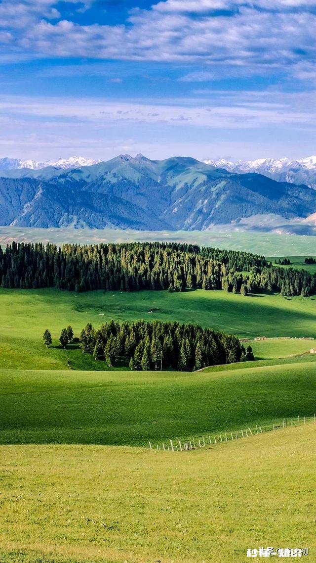 孩子正常成长过程中，表扬鼓励与批评惩罚哪个作用大