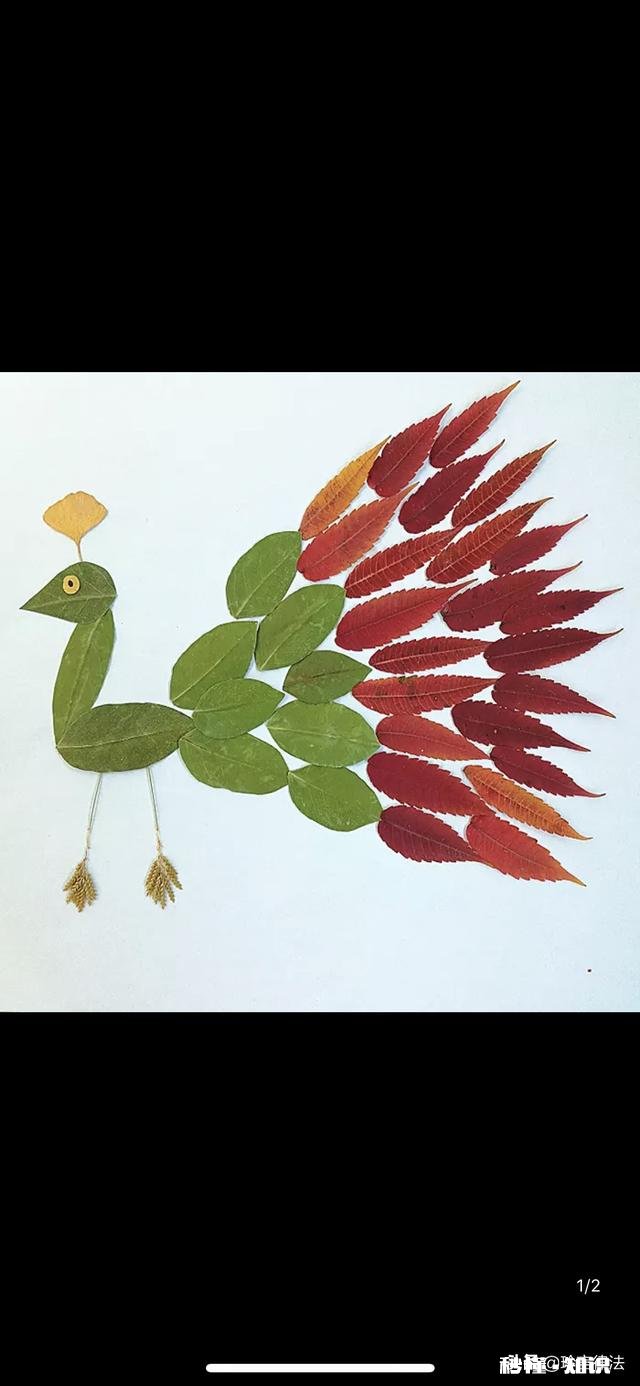 在家比较无聊孤单，请问有哪些适合中年妇女的活动