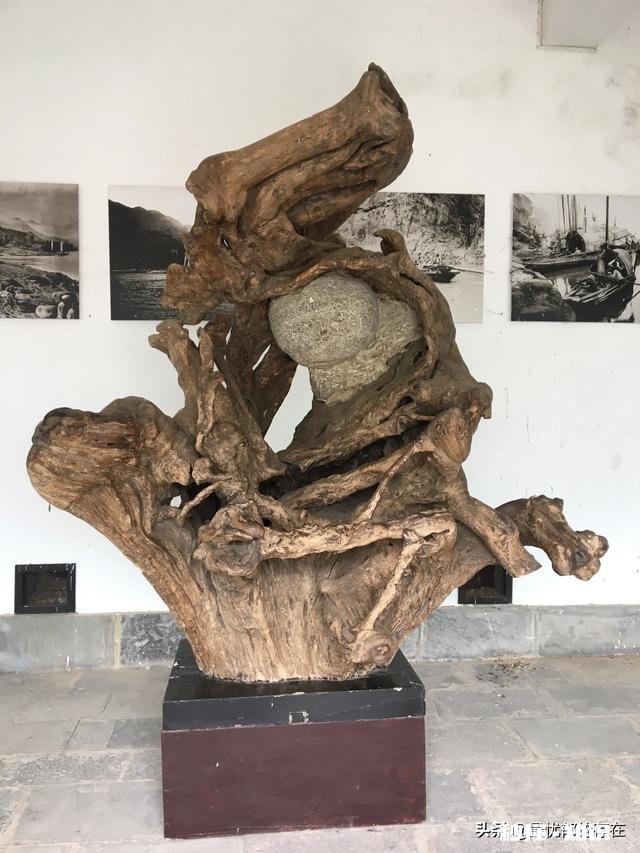 每次视频我姐都说你家孩子不叫姨，怎么回答