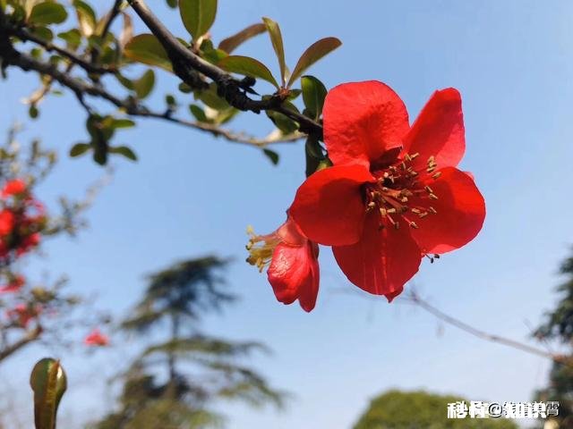 为什么你有男朋友，父母对外却说你单身