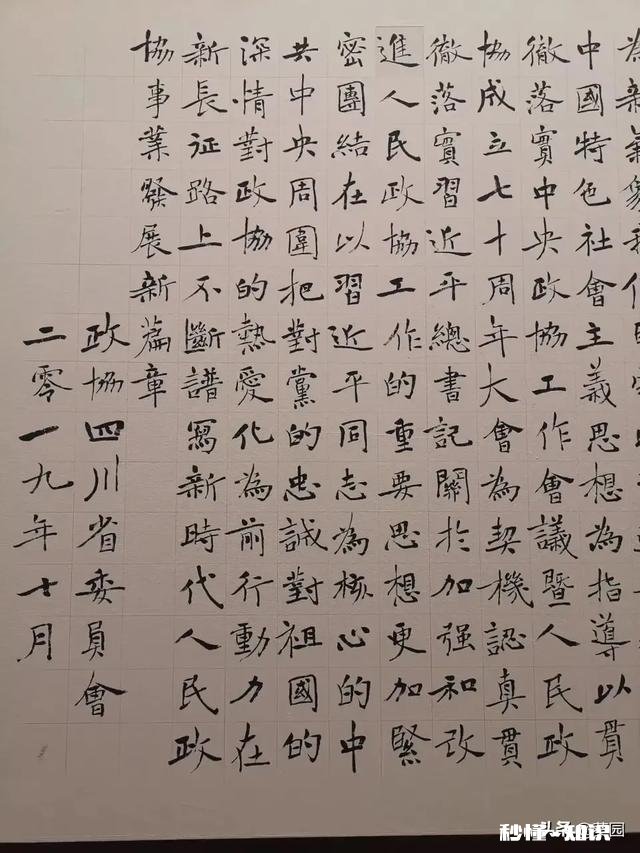 书协楷书委员洪厚甜，这么另类的书风是不是丑书