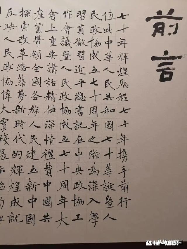 书协楷书委员洪厚甜，这么另类的书风是不是丑书