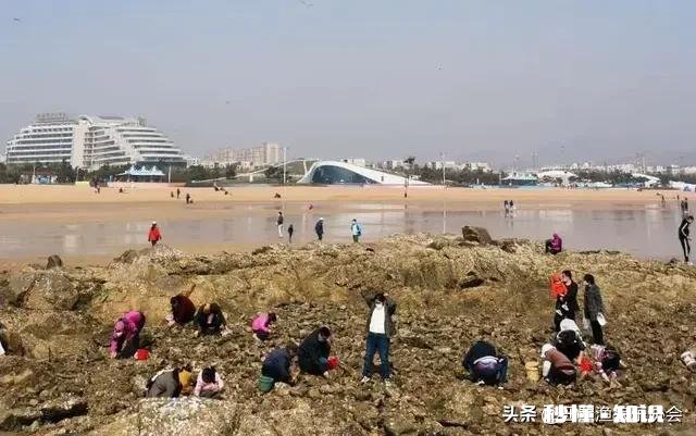 打算带孩子去日照玩，日照哪里有免费海水浴场