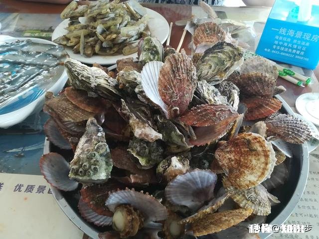 打算带孩子去日照玩，日照哪里有免费海水浴场