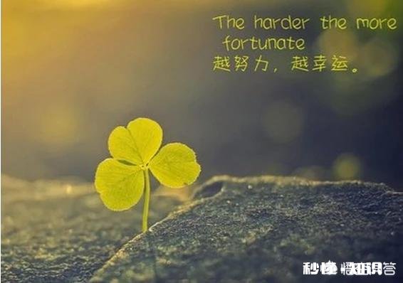 那些谈了一场五六年恋爱的人，后来都怎么样了