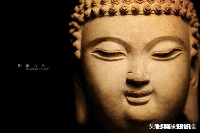 “社交中，不要以貌取人，但要记得相由心生”你怎么看