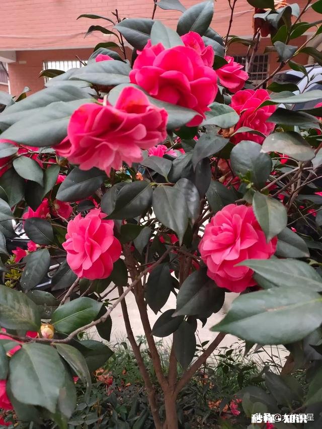 “社交中，不要以貌取人，但要记得相由心生”你怎么看