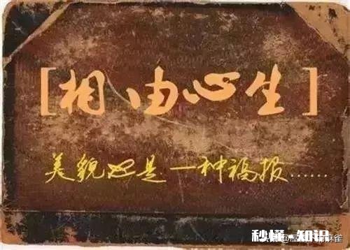 “社交中，不要以貌取人，但要记得相由心生”你怎么看