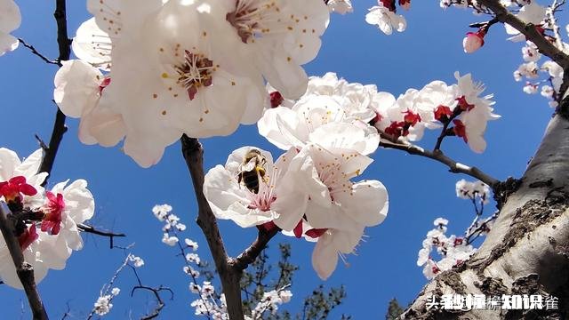 “社交中，不要以貌取人，但要记得相由心生”你怎么看