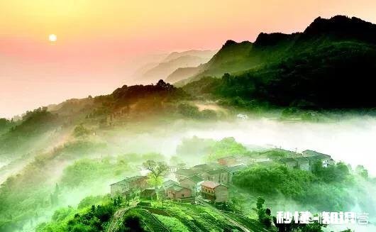 “煮豆燃豆萁”几乎家喻户晓，但它是曹操之子曹植写的七步诗吗