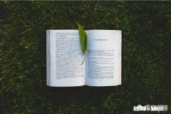 荷花缸里生了许多红色的水虱子，怎么办啊