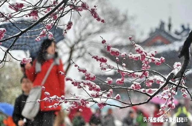 风雨有意洗尽桃花千层尘，求下联