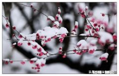 风雨有意洗尽桃花千层尘，求下联