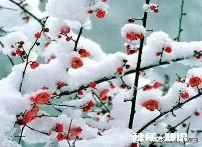 风雨有意洗尽桃花千层尘，求下联