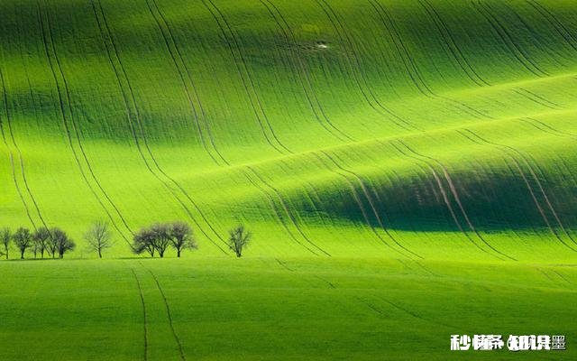 给小白推荐相机应该站在对方的立场上吗,要怎么做如果不是呢,说说你的理由