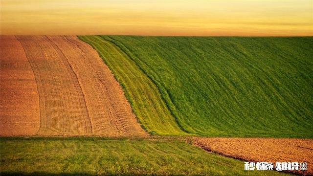 给小白推荐相机应该站在对方的立场上吗,要怎么做如果不是呢,说说你的理由