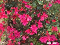 老公家的姐妹个个都很邋遢，实在受不了了怎么办