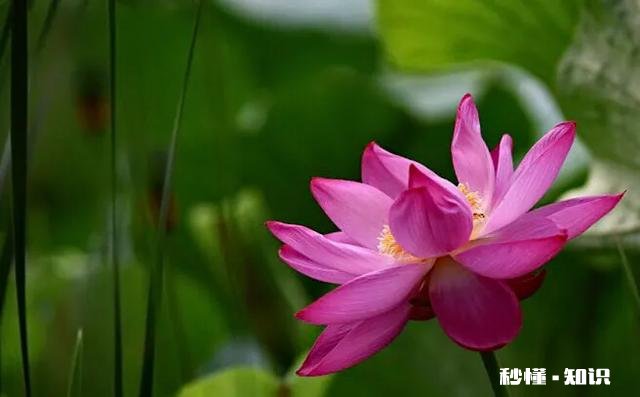 不洗澡不上床，洗完澡后也不会坐白天坐的沙发，不喜欢和人勾肩搭背之类的算不算怪癖