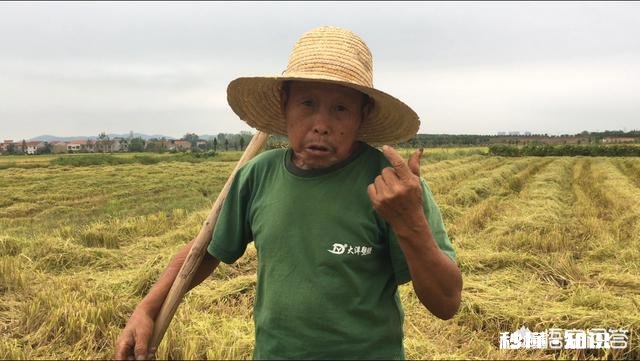 去扶起摔倒的老人如果被误会了应该怎么办