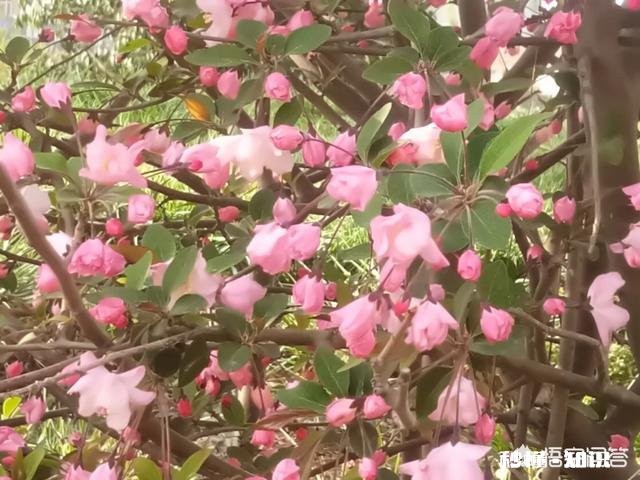 如何分清女孩子对你是倒苦水还是想要你的安慰