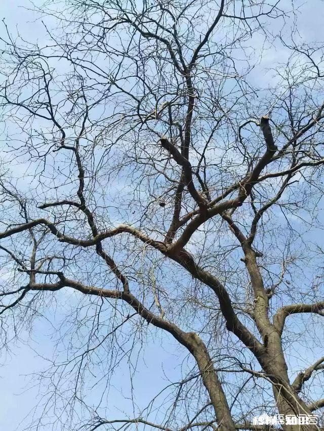 如何分清女孩子对你是倒苦水还是想要你的安慰