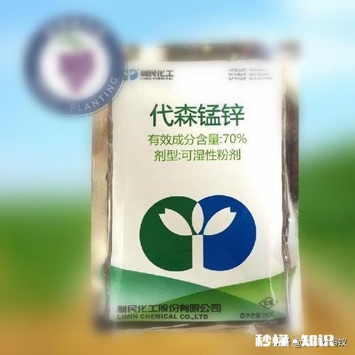 土豆叶发黄死亡的原因是什么土豆叶黄死亡用什么药能治呀