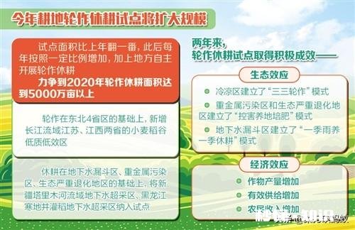 土豆叶发黄死亡的原因是什么土豆叶黄死亡用什么药能治呀